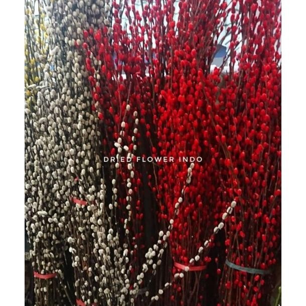 "Penawaran Unik" SEIKAT 10Pc 1,2m BERCABANG pussywillow imlek bunga pussy willow dekorasi sincia bun