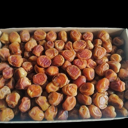 

Kurma Sukari 3Kg/Kurma Sukari Basah/Kurma Sukari Madu Premium