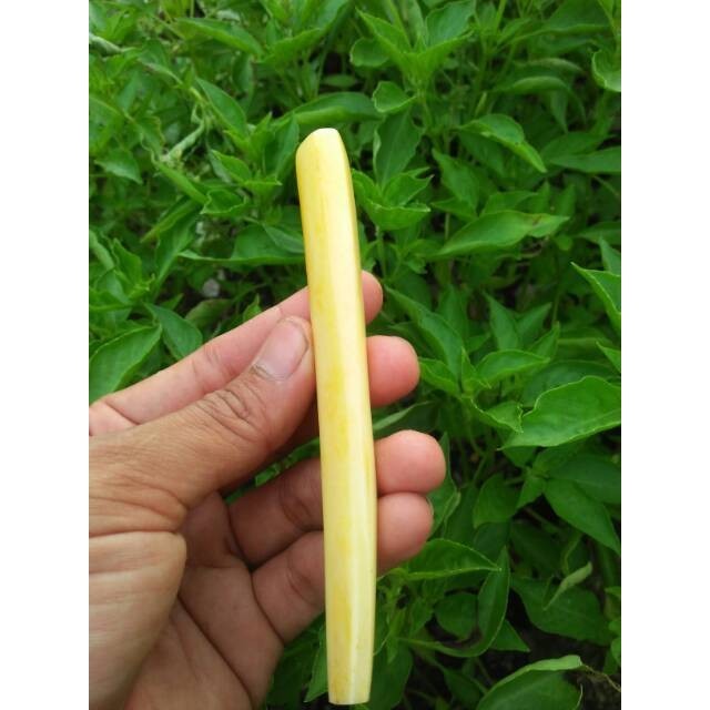 TERLARIS  Once murah tulang kerbau segi enam warna kuning pipa rokok asli langka TERBARU