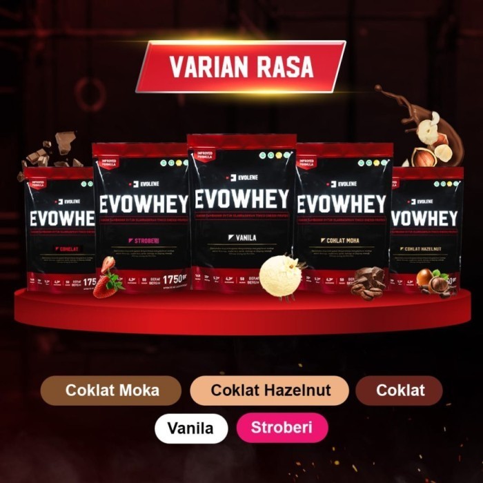 Ready Evolene Whey Protein 50 Sachet Rasa Coklat Hazelnut evowhey