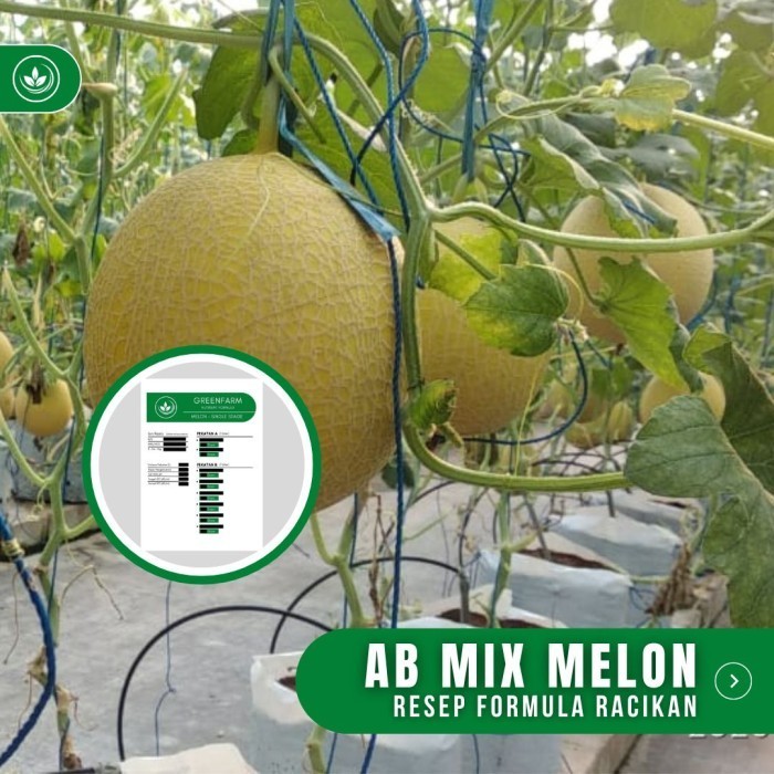 Terlaris Resep Ab Mix Melon Formula Racikan Nutrisi Ab Mix Melon Promo Terbaru