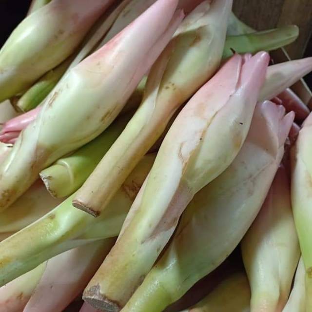 

Rias Kecombrang Bunga Kecombrang Honje 250gr JAC