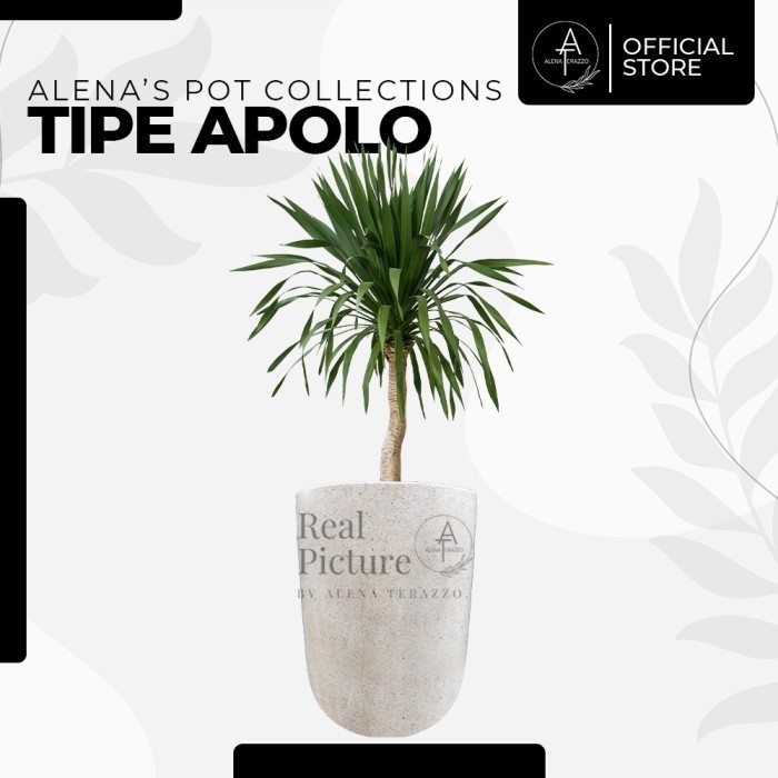 POT TERASO MINI MALIS POT TIPE APOLO POT TANAMAN TERAZZO