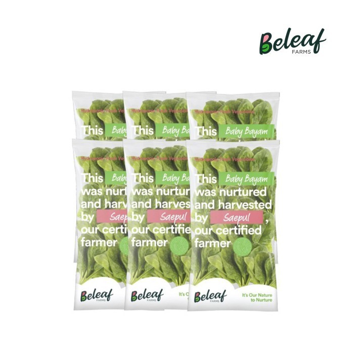 

Beleaf Farms Popeye Supply (6 Baby Bayam)