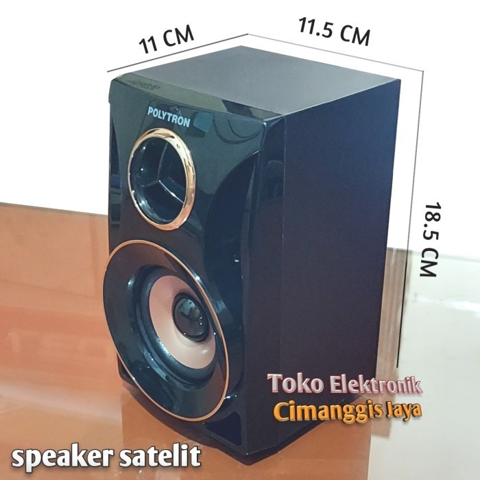 Speaker Polytron Pma 9310