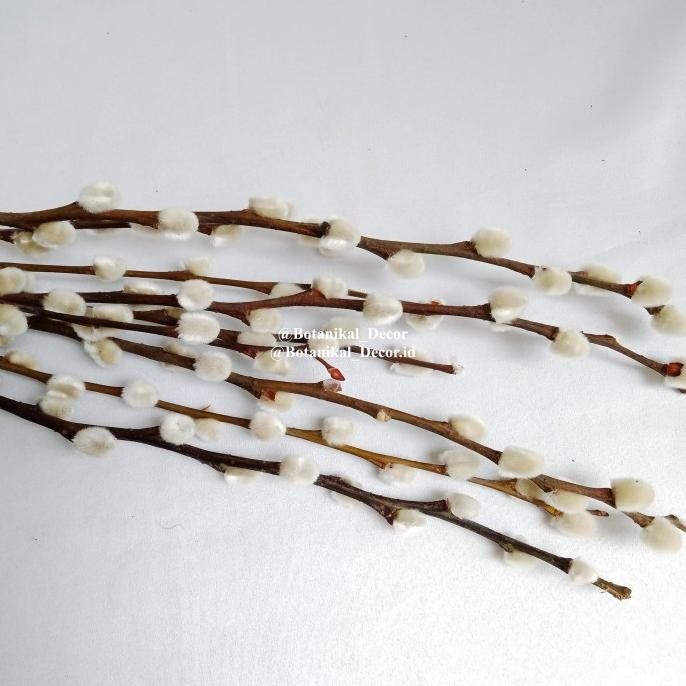 Terjangkau (9pcs) Dried Pussy Willow Spray Hiasan Ranting Imlek Bunga Kering Asli - SILVER