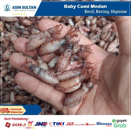 Baby Cumi Asin Kering Medan Untuk Sambal Baby Cumi 1Kg / Baby Cumi