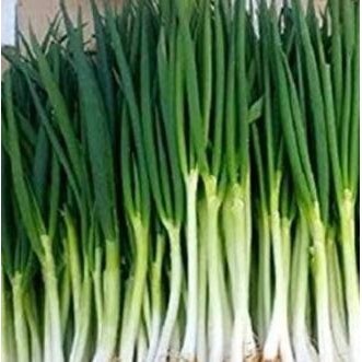 

DAUN BAWANG 1KG PEKANBARU