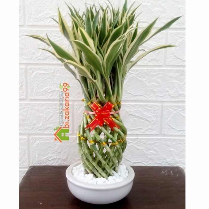 Pajangan/Hiasan/Dekorasi Rumah/Kantor Bambu Hoki Guci Mini Varigata