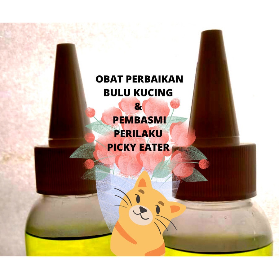 Obat bulu kucing rontok
