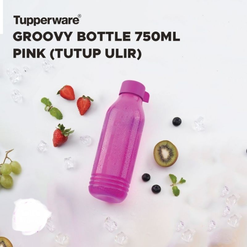 Tupperware Promo Groovy Botol Botol Minum Unik Lucu