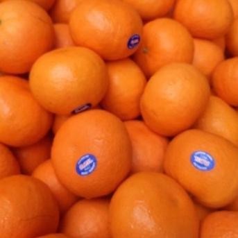 

New jeruk mandarin - 1/2 kg ,,