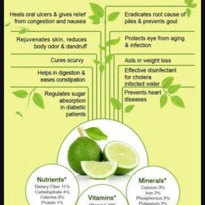 

Dandelion Lotus Lime Tea : Clean Toxic, Slimming & Detox (30 Tea Bag)