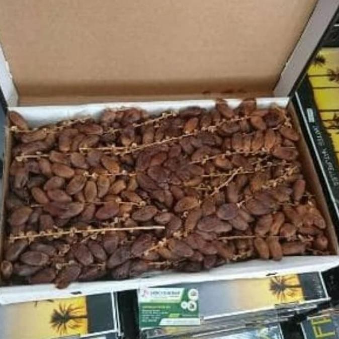 

Kurma Tunisia Tangkai 5Kg/Oleh Oleh Haji Dan Umroh