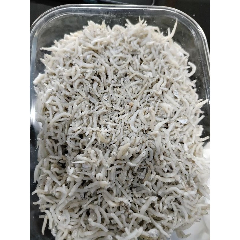 

ikan teri Medan