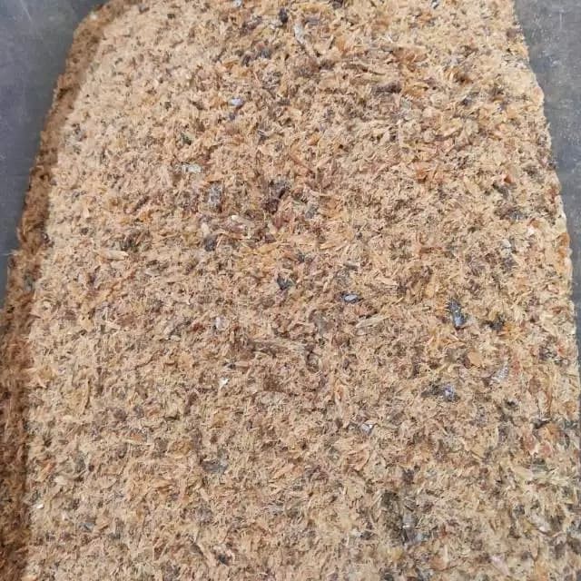 

ikan roa halus 1 kg