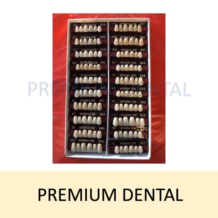 GIGI PALSU ORTOLUX TOP DEPAN ATAS