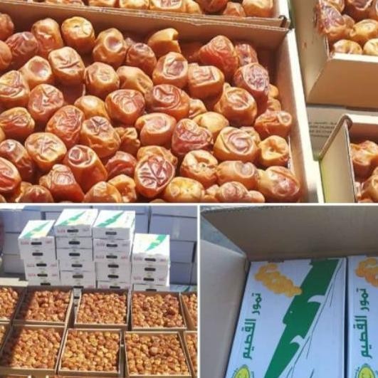 

Ready>>> Kurma Sukari Al Qassim 3Kg / Kurma Madu / Kurma Stamina Premium