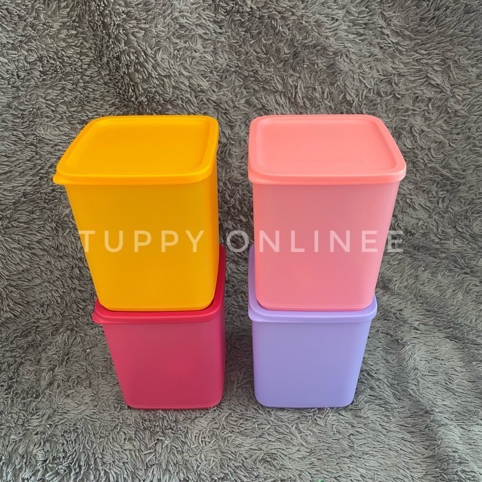 Large Summer Toples Tupperware 1 piece