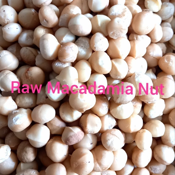 

Macadamia Nut 1KG/Makadamia kacang macadamia