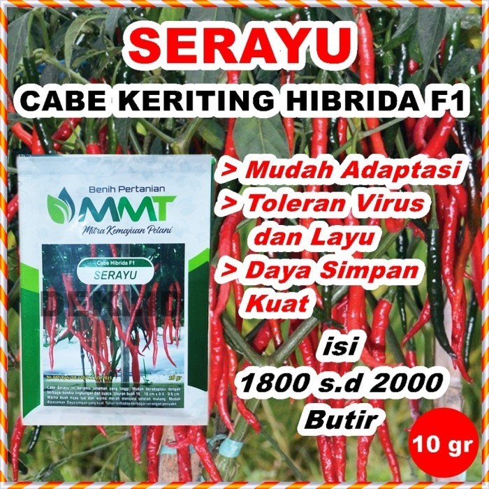 New Benih Cabe Merah Keriting Serayu Hibrida F1 10 Gram Bibit Cabai