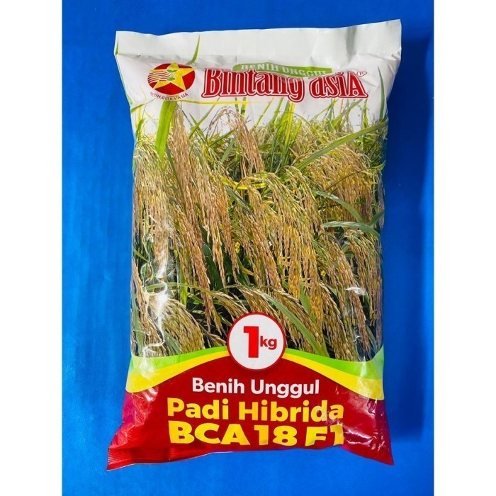 New Benih padi hibrida BCA 18 F1 tahan hawar daun kemasan 1kg