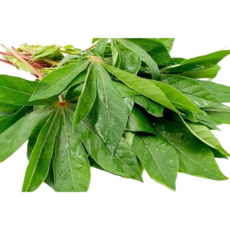 

Daun Singkong Per ikat