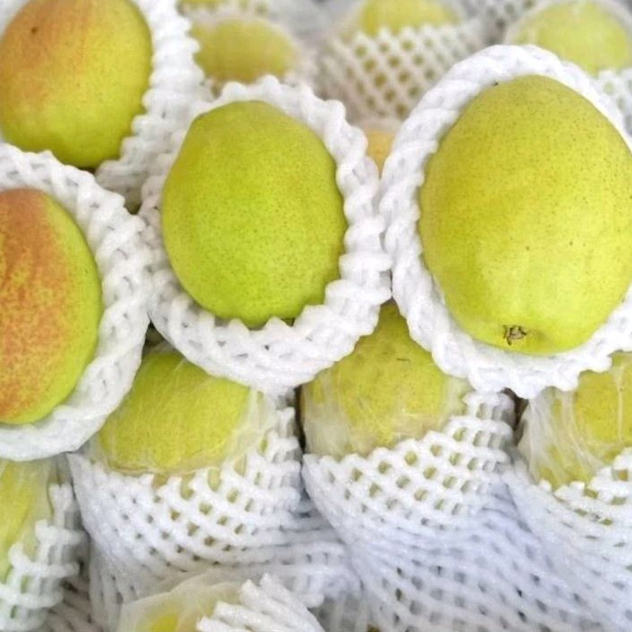 

Pear Xianglie Manis