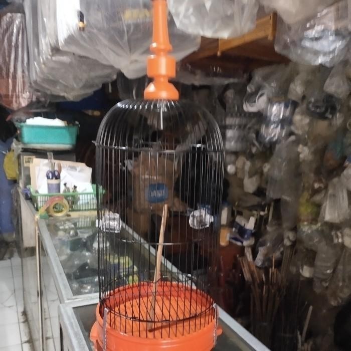 READY SANGKAR PLECI BESI TEBOK KAKI SIAP PAKAI SUDAH KOMPLIT