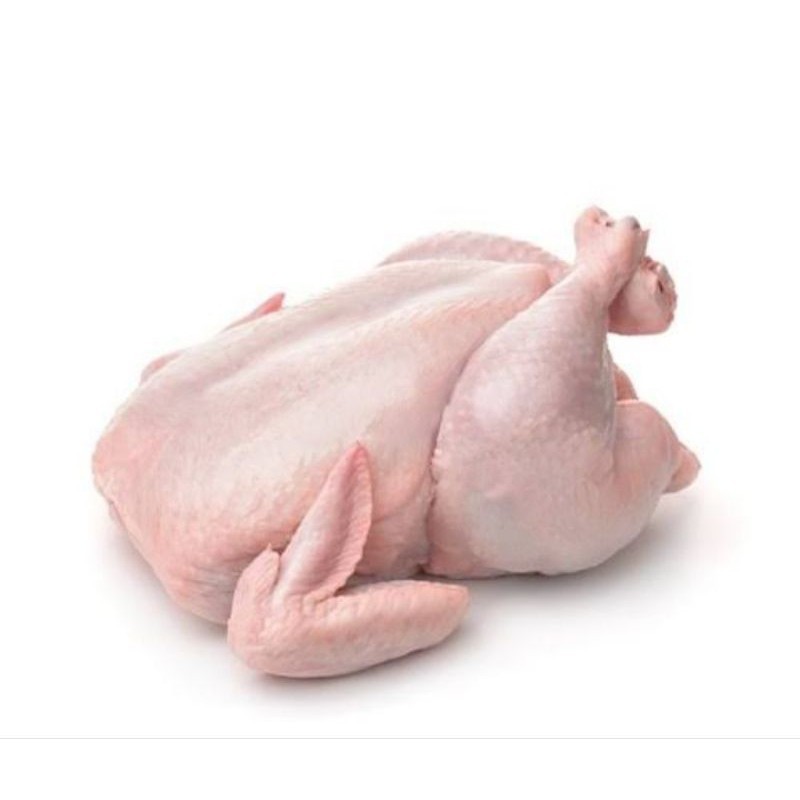 

Ayam Utuh 1 Ekor 1.3-1.4Kg/ Ekor -Gratisongkir