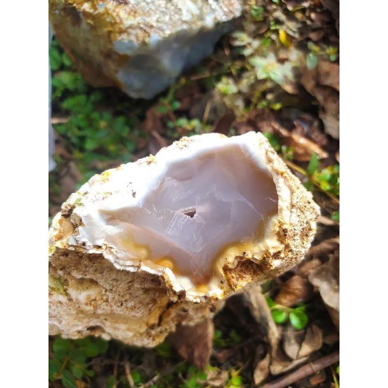 batu anggur combong jumbo 1.5kg