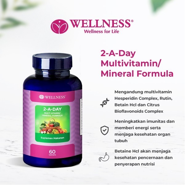 Wellness Multivitamin/Mineral 2-A-Day ( 60 )