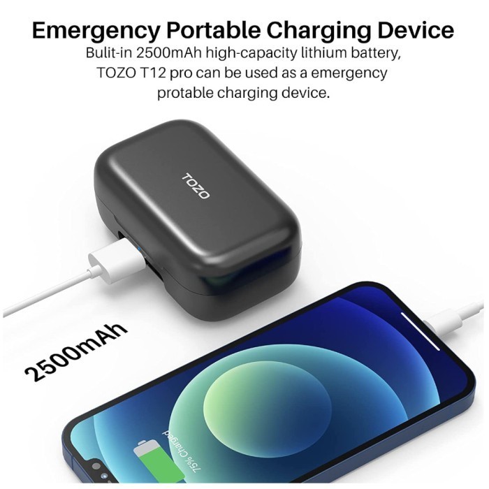 Tozo T12 Pro Wireless Earbuds 4 Mic Premium Bass With Qc3040 Ipx8