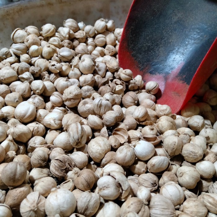 

KAPULAGA Fresh 250 gr