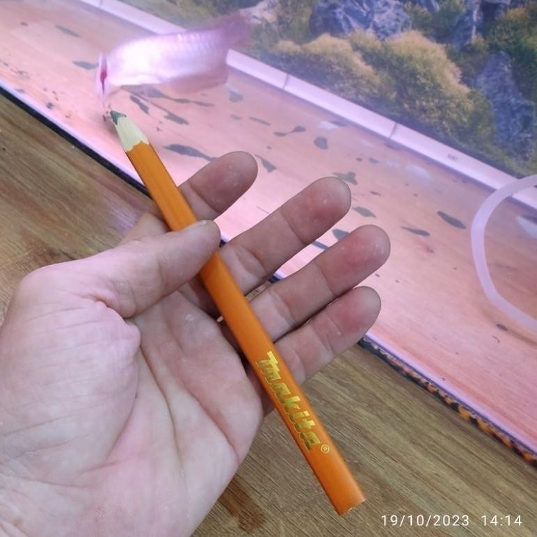 

PENSIL MAKITA PANJANG 18CM / PENSIL TUKANG MERK MAKITA ASLI Q69