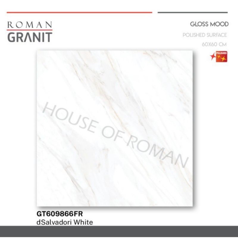 Roman Granit dSalvadori white 60x60 / Roman Granit / lantai granit / granit murah / granit minimalis
