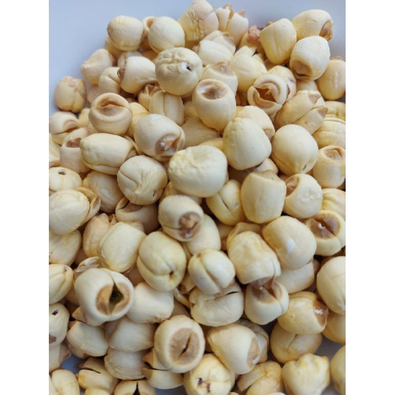 

biji teratai. lotus seed premium 1kg