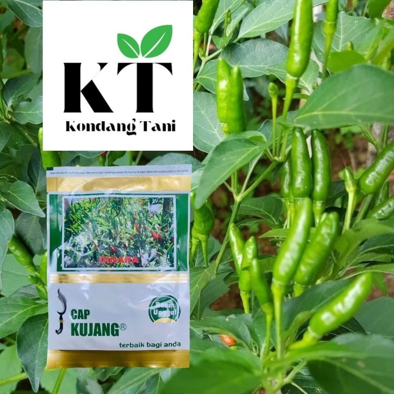 

Cabe Rawit Hijau Dinara 10 Gram Cap Kujang