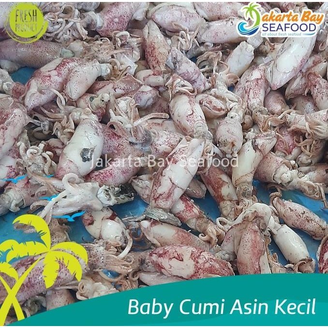 

Baby Cumi Asin Kecil kering 70% untuk Sambal Baby Cumi 500 gr TB