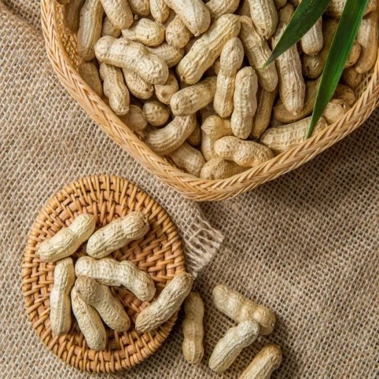 

Online Seeds Kacang Tanah Kulit Segar - 500 Gram