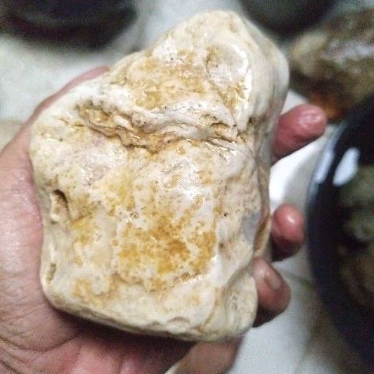 batu fosil mani gajah full kristal(19)