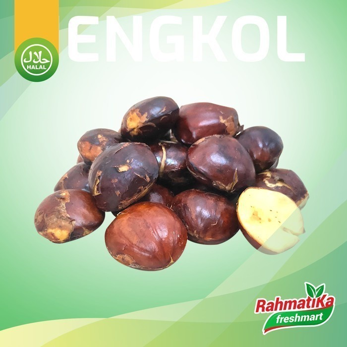 

Jengkol Mentah Segar / Jengkol Mentah Fresh 1 Kg