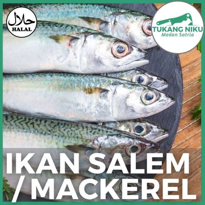 

Ayala - Ikan Salem / Mackerel - Utuh Fresh Frozen Segar Saba Makarel Seafood