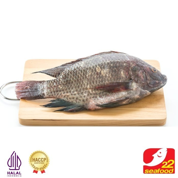 

Ayala - Ikan Gurame Wggs (Sudah Buang Sisik Dan Jeroan) / Seafood 22
