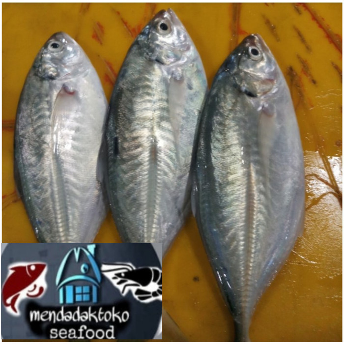 

Ayala - Ikan Selar Gabret Fresh Seafood Ikan Laut Segar