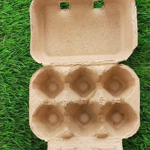 Paper Egg 6 Lubang / Box Telur Karton 50 Pcs
