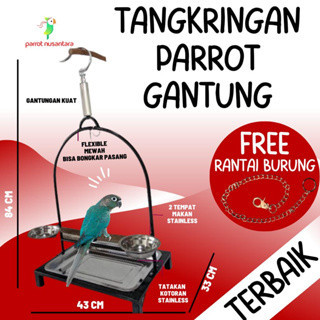 Tangkringan burung besi parrot tangkringan nuri beo gantung