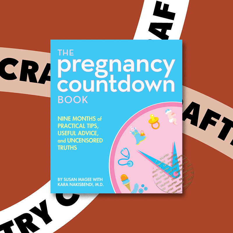 

The Pregnancy Countdown Book - Susan Magee