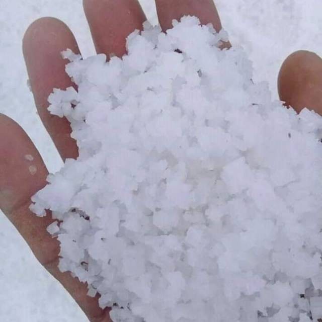 

Seed Center Garam Krosok (250 Gram)