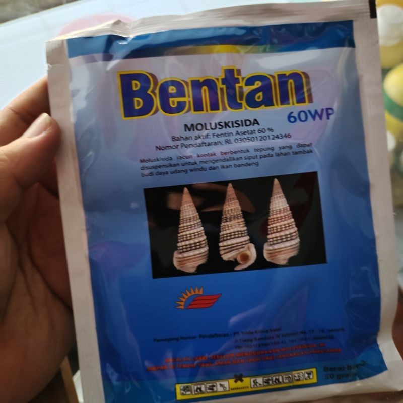 Moluskisida Bentan 60WP 50 gram
